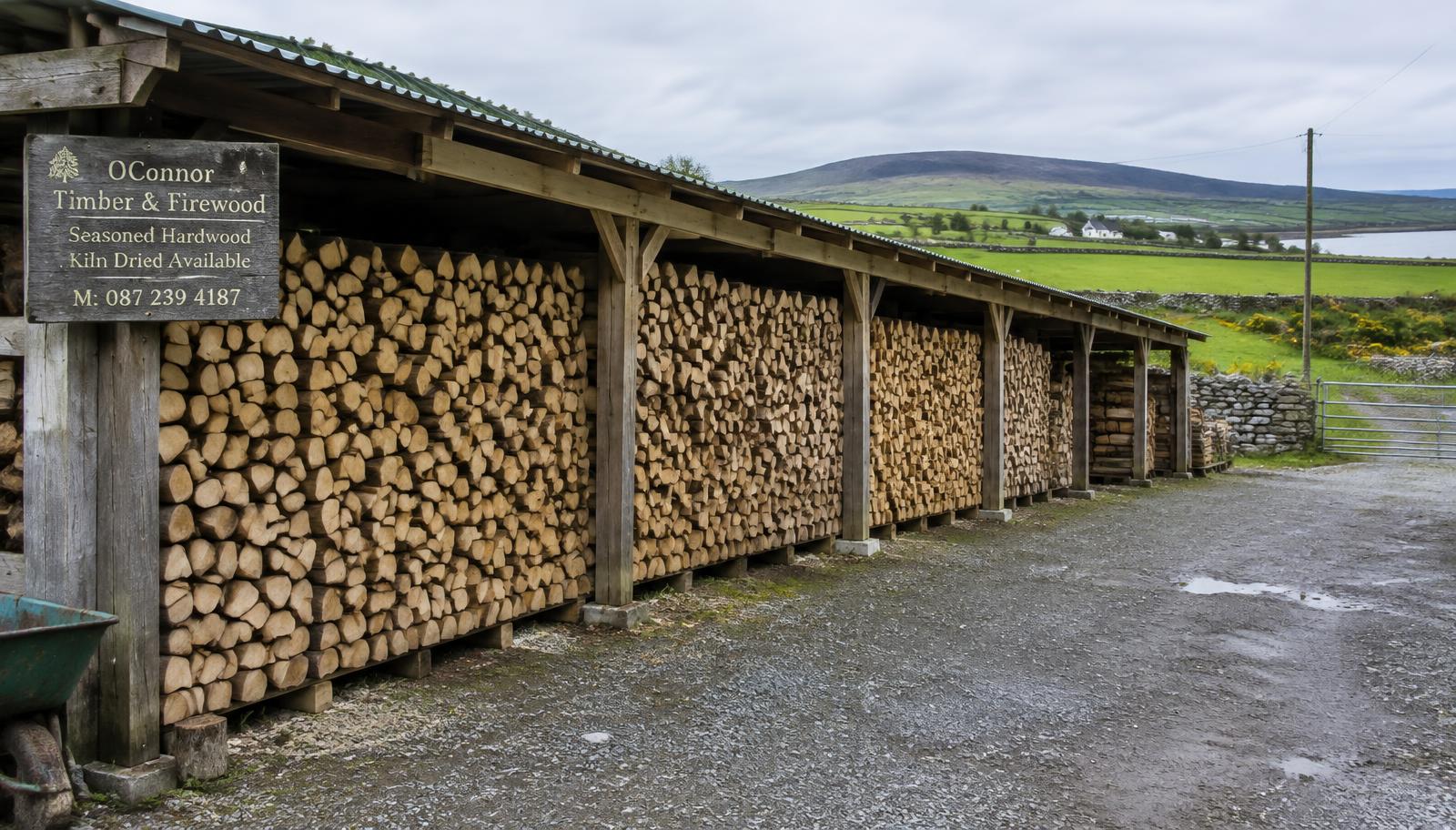 Covered stacks of seasoned firewood in our yard